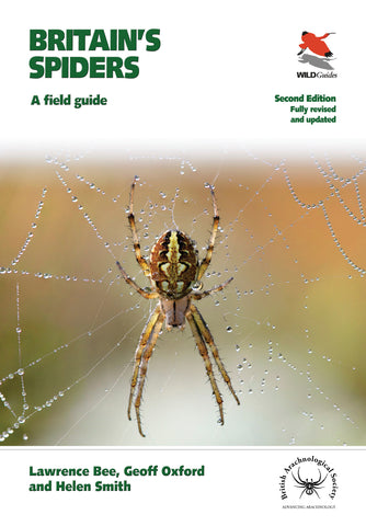 Britain's Spiders (WILDGuides): A Field Guide