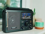 Steepletone Multiband Portable Radio World Receiver