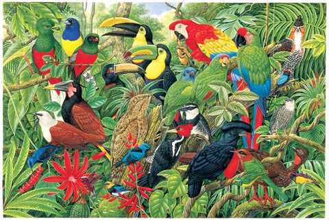JHG 1000-piece jigsaw - Birds of Costa Rica